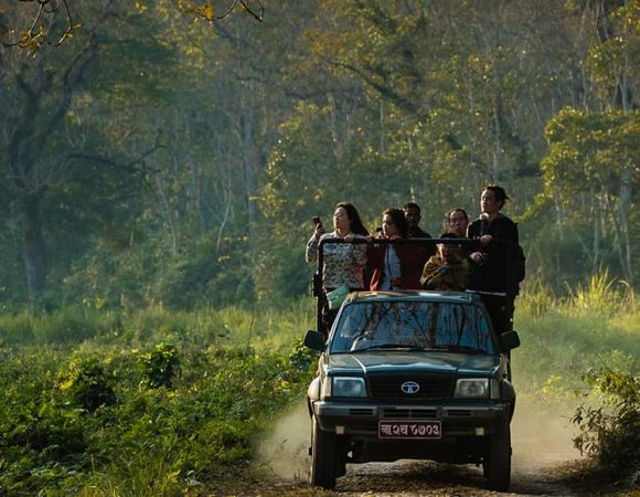 Chitwan Wildlife Safari