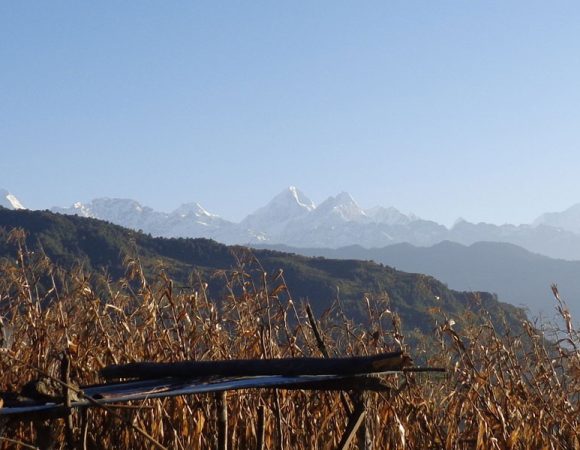 Helambu Trek