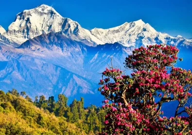 bg-nepal