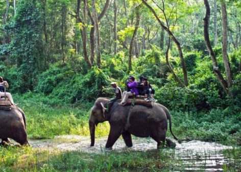 chitwan-580x450