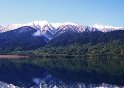 rara-580x450